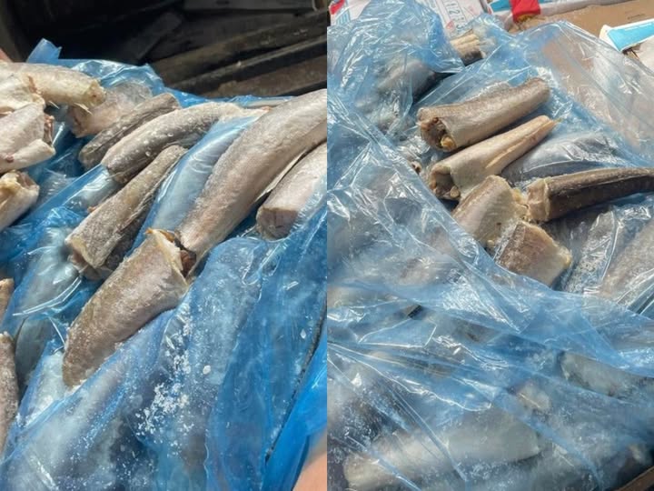 Skandali me krimbat, AUV thotë se peshqit e infektuar do të asgjësohen