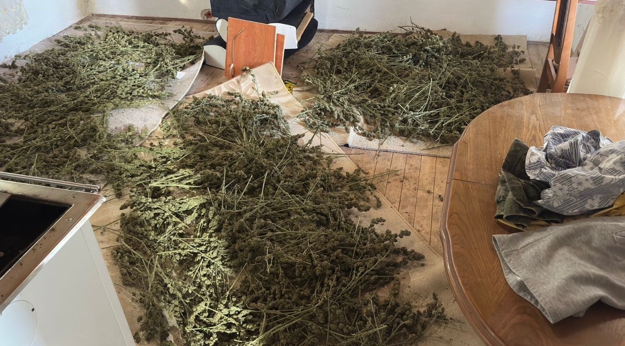 Policia kryen bastisje në tri lokacione pas shpërthimit në QKUK – ndalohen 11 persona, konfiskohet drogë e armë