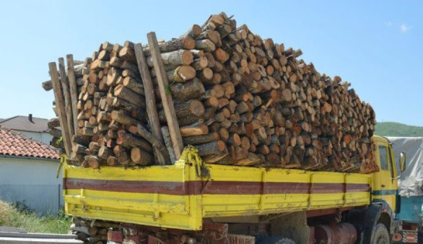 Kontrabanduan dru nga Serbia, sekuestrohet kamioni