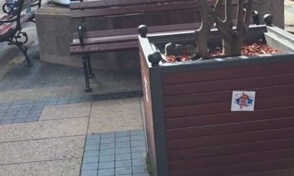 Provokime në qytetin ku ndodhet hoteli i Kombëtares shqiptare në Serbi, vendosin hartën e Kosovës me flamurin serb