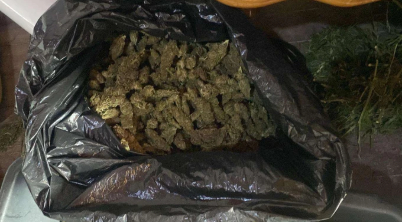 Arrestohen 7 shtetas të Shqipërisë në Podujevë, kapen me substanca narkotike