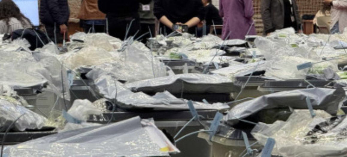 Bie sistemi, numërimi i votave për asamble në Podujevë anulohet – nuk do të vazhdojë as nesër paradite