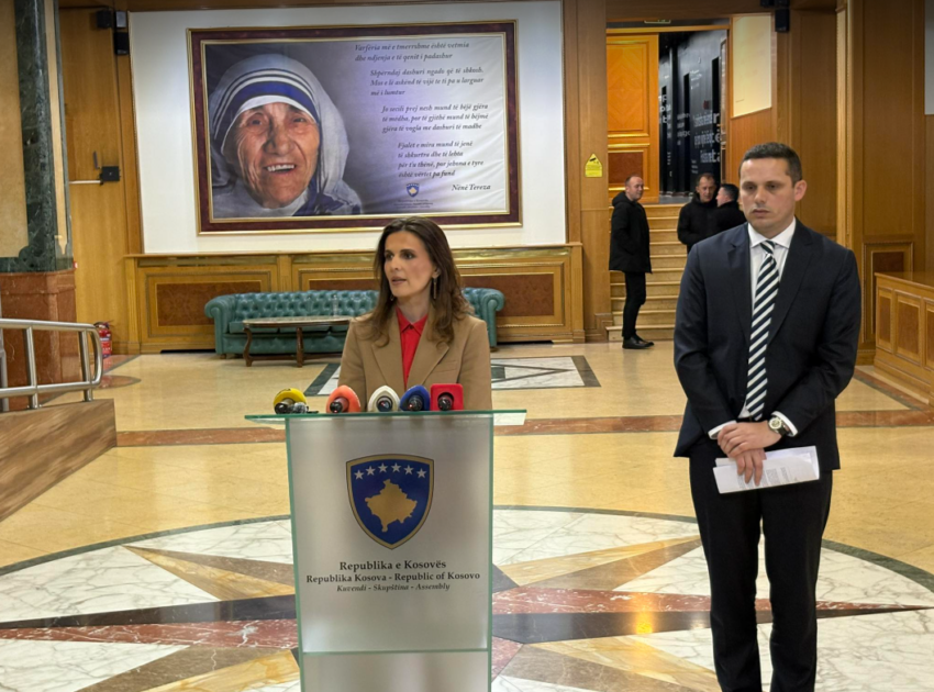 Çitaku: Kjo rezolutë nuk do të duhej të na ndante, por të na bashkonte