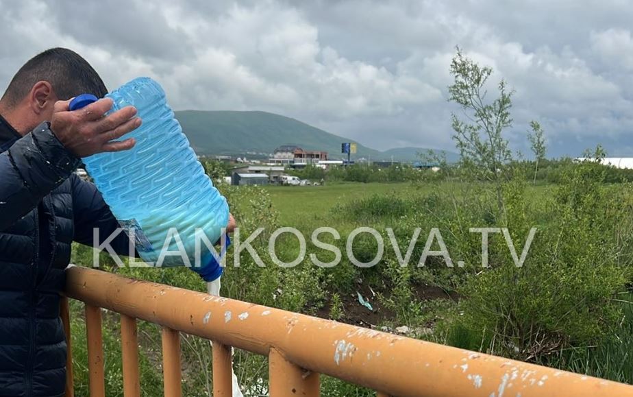 Fermerët hedhin qumështin në lum pas uljes së çmimit