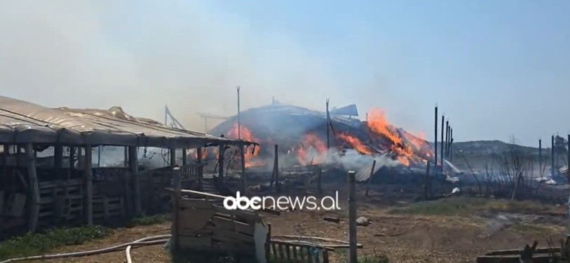 Digjet një fermë në Shqipëri, shkaktohet dëm i madh